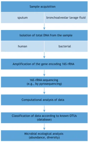Figure 1. Sequence of events leading to the recognition  of  the  microbiome  at  a  given  site