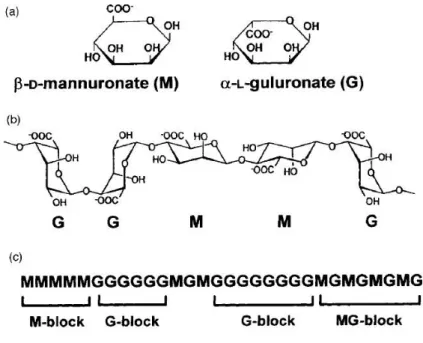 Figure  5  -  Structural  characteristics  of  alginates:  A| alginate  monomers;  B|  chain  conformation;  C| 