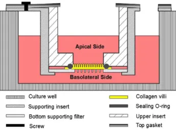 Figure 11 - Schematic illustration of the insert design. (Adapted from [46]). 
