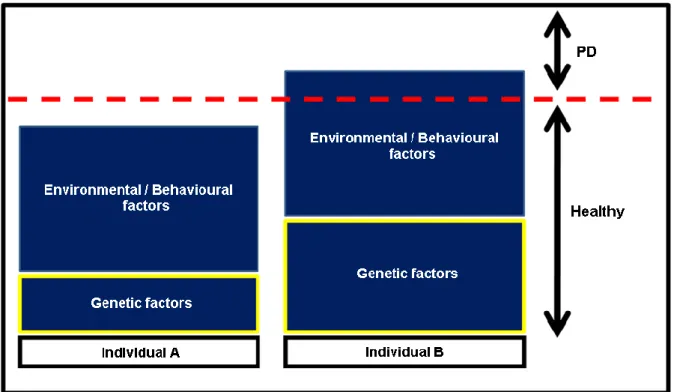 Figure  1.3  –  Complex  multifactorial  nature  of  periodontal  disease.  Both  genetic  susceptibility  and  environmental/behavioural  factors  are  implicated  in  the  PD  aetiology