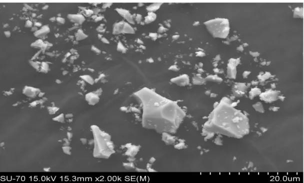 Figura 3-7 – Microscopia SEM ao vidrado 102500 em pó. 