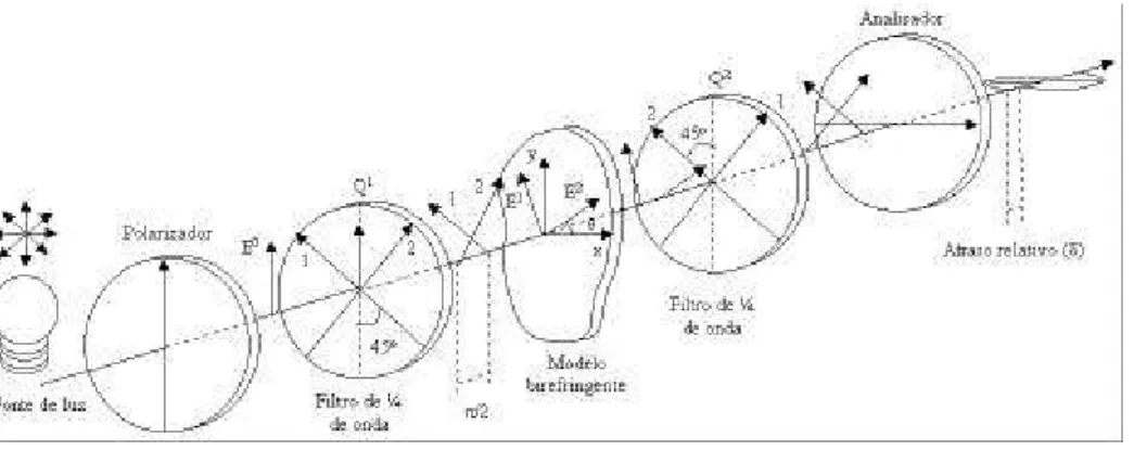 Figura  16 -  Desenho  esquemático  de  polariscópio  circular  com  modelo fotoelástico