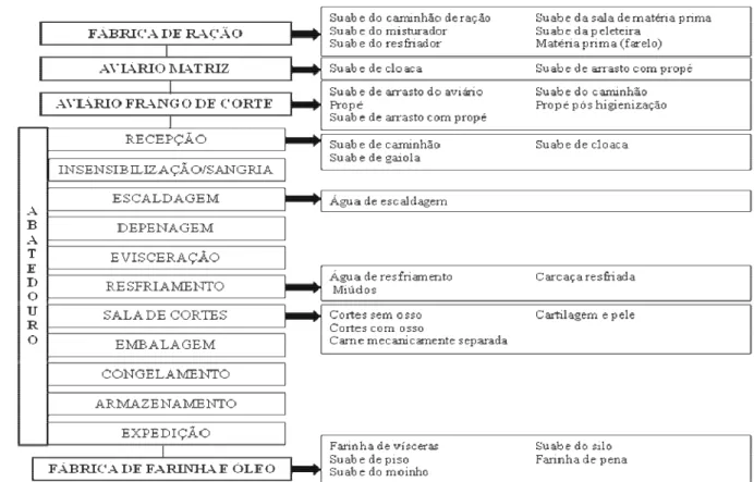 Figura 1. Fluxograma da cadeia de produção industrial do frango de corte, indicando 