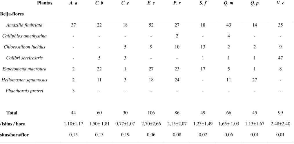 Tabela 2: Número de visitas dos beija-flores nas plantas e a freqüência de visitação (por hora e por hora/número de flores) no cerrado de CCPIU,  Uberlândia,  MG