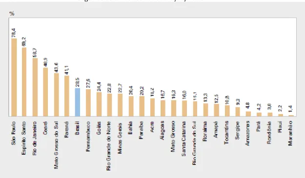 Gráfico 5 