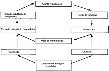Figura 1 - Ciclo da infecção