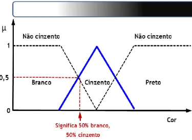 Figura 4.3 - Representação de um conjunto difuso