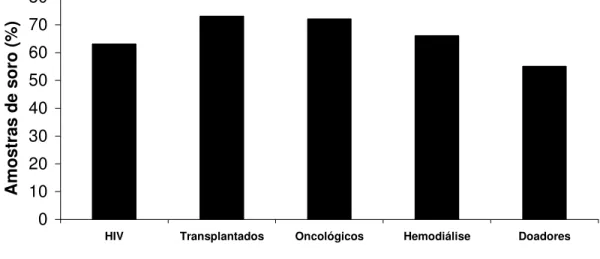 Figura 2. Resultados da sorologia por ELISA, IFAT e WB para anticorpos IgG anti- T. 