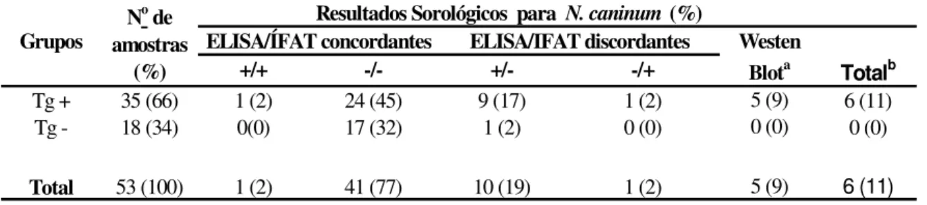 Tabela  4.  Resultados  sorológicos  obtidos  por  ELISA,  IFAT  e  WB  para  detecção  de  anticorpos IgG anti-N