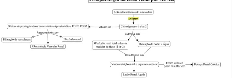 Figura 1. Fisiopatologia da lesão renal induzida por AINEs 