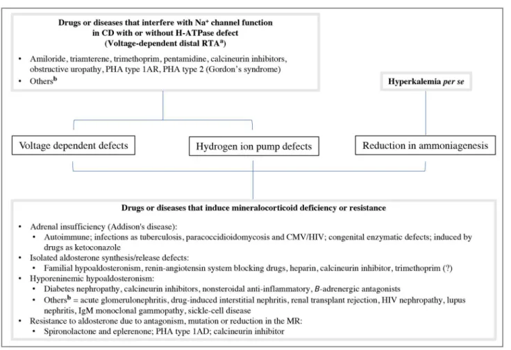 Figure 3. Pathophysiologic classification and etiologies of disorders associated with hyperkalemic hyperchloremic renal tubular acidosis