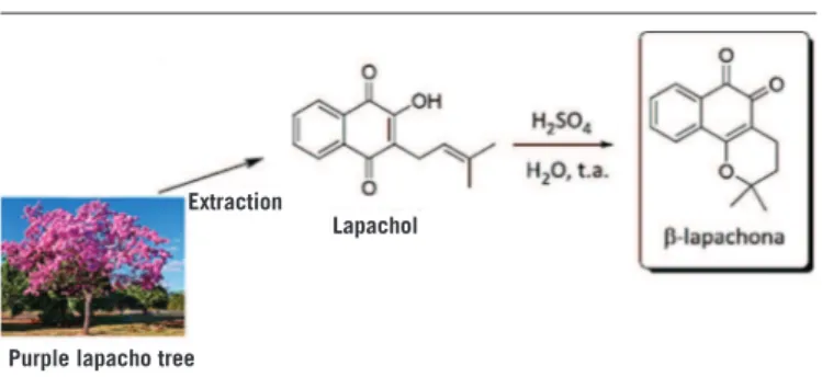 FIGURE 1  − Synthesis of β-lapachone from lapachol under acid catalysis Adapted from Aires et al