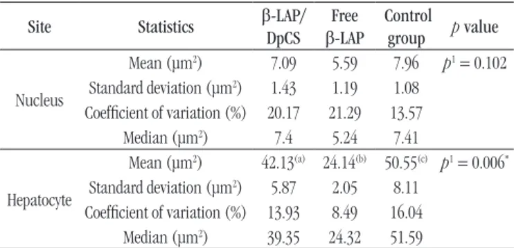 TABLE 2  − Statistics of capsular and glomerular areas