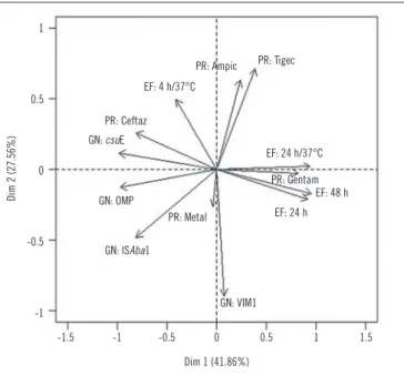 FIGURE 1  − Perceptual map via the main components for the variables Dim: dimension; PR: profile of resistance; ampic: ampicillin; tigec: tigecycline; 