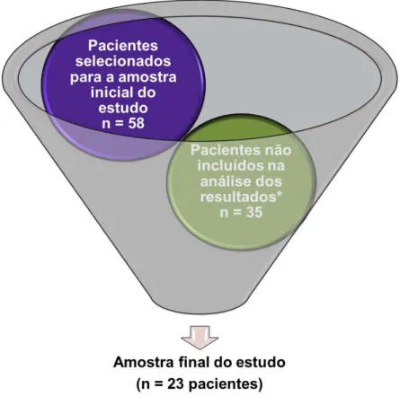 Figura 3  –  Amostra final do estudo. 