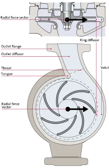 Figura 2.5: Componentes do corpo da voluta. [9]