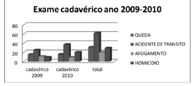 GRÁFICO 3: Distribuição das principais  causas dos  exames  cadavéricos de crianças e adolescentes atendidos  na Núcleo de Perícia Forence -  PEFOCE, Sobral - Ceará, 2009  – 2010.