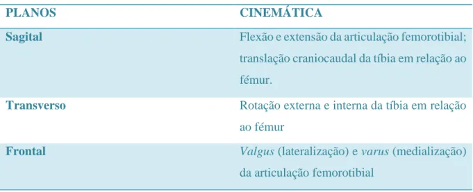 Tabela 1: Planos e respetiva cinemática da articulação femorotibial (Kowaleski M. P. et al., 2012) 