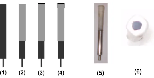 Figura 1: (1-4) Etapas env (6) Imagem da área de DDB As etapas envolvida (1) Bastão cilíndrico de (2) Isolamento elétrico  THF em um béquer  (3) Remoção do filme d