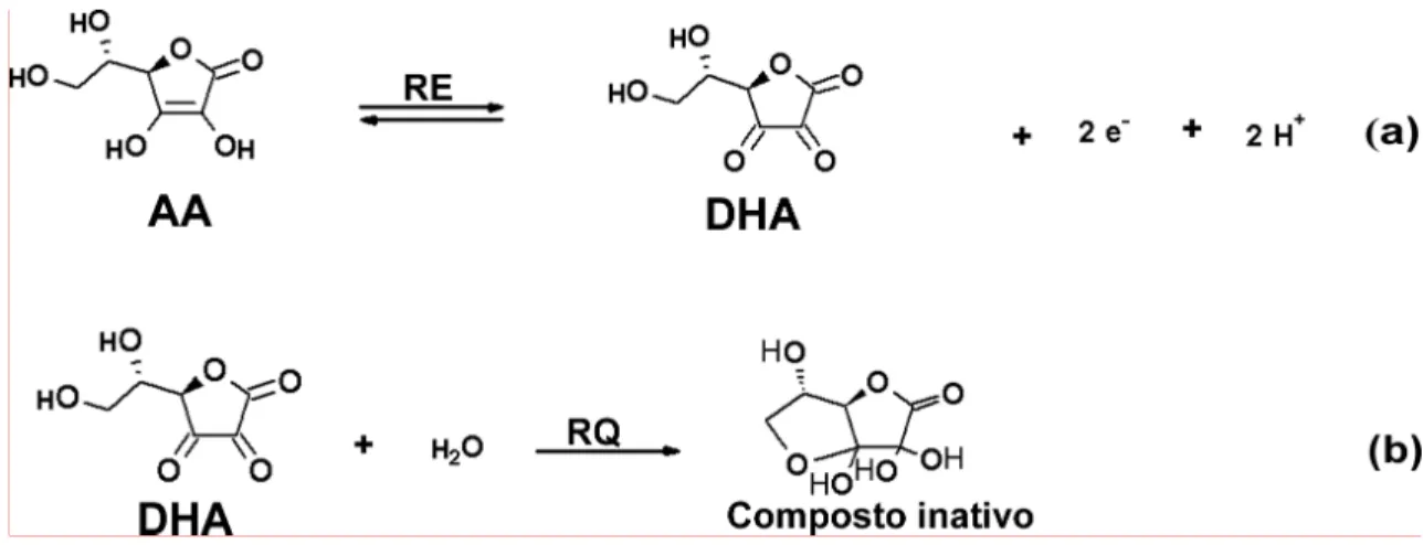 Figura 3.2: (a) Representação da reação eletroquímica (RE) de oxidação do ácido ascórbico  (AA), formando ácido dehidroascórbico (DHA) na superfície do eletrodo de diamante dopado  com boro  (DDB);  (b)  Reação  química  (RQ)  do  DHA  com  a  água,  forma