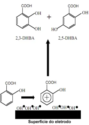 Figura  3.3:  Representação  da  reação  eletroquímica  de  oxidação  do  ácido  salicílico  (AS),  formando  ácido  2,3  dihidroxi-benzóico  (2,3-DHBA)  e  ácido  2,5  dihidroxi-benzóico   (2,5-DHBA), na superfície do eletrodo de diamante dopado com boro 