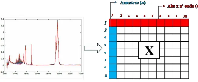 Figura 4  ‒   Organização dos espectros para a construção da matriz de dados X 