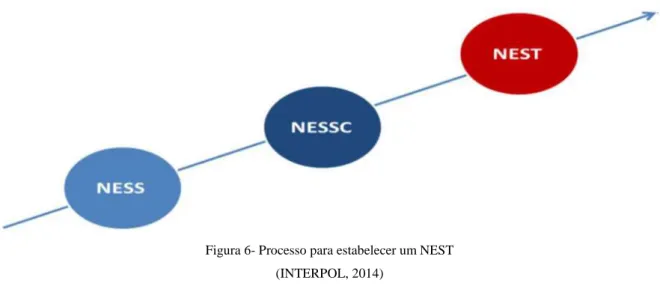 Figura 6- Processo para estabelecer um NEST  (INTERPOL, 2014) 