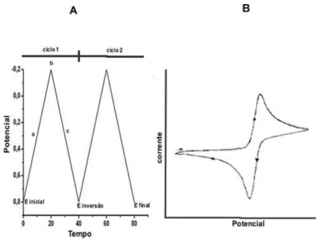 Figura 4: (A) Esquema da varredura do potencial vs tempo. (B) Voltamograma cíclico 