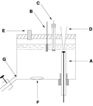 Figura  5:  Diagrama  esquemático  de  uma  célula  BIA:  A)  Eletrodo  de  Trabalho;  B)  Eletrodo  Auxiliar;  C) Eletrodo  de referência;  D) Ponteira de  micropipeta;  E) Orifício;  F)  Agitador;  G)  Drenagem