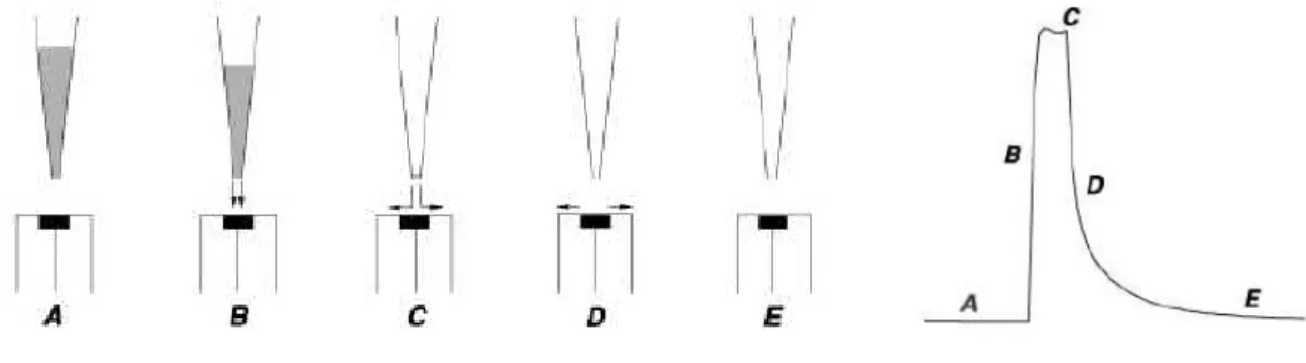 Figura 6: Etapas de um sistema BIA. A) Antes da injeção; B) Transporte durante a injeção; C)  Final da injeção; D) Dispersão; E) Equilíbrio final
