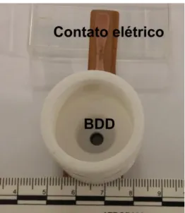 Figura 9.   Célula de teflon utilizada nos experimentos estacionários com eletrodo de  BDD