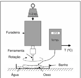 Figura  2.13:  Esquema  do  teste  de  pressão  constante  realizado  no  trabalho  de  Allan,  Williams, Kerawala (2005)