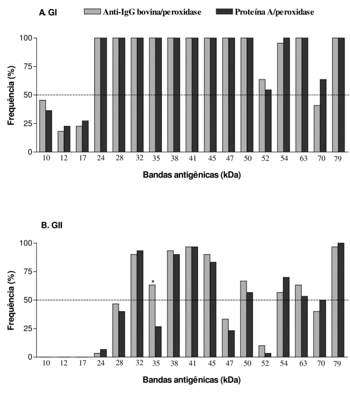 Figura  3.  Comparação  entre  as  freqüências  dos  componentes  polipeptídicos  do  antígeno  solúvel  TX-114  de  Brucella  abortus,  determinados  por Immunoblot  unidimensional,  utilizando  os  conjugados  de  detecção  anti-IgG  bovina e Proteína A 