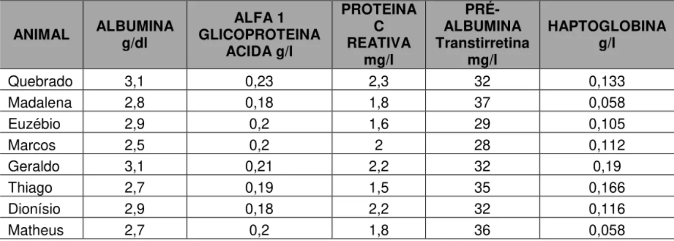 Tabela  1  –   Resultados  das  análises  realizadas  em  amostras  de  oito  exemplares  de  cachorro-do-mato  (Cerdocyon  thous)  para  albumina,  alfa  1  glicoproteína ácida, proteína C reativa, pré albumina e haptoglobina