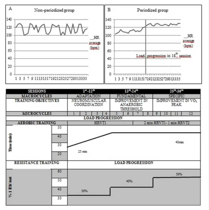 Figure 2 - Periodized exercise prescription model. A, B- Heart rate variation in aerobic training
