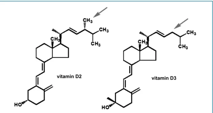 Figure 2 - Vitamin D2 and D3 molecules, showing the difference in methyl group (CH3), which is present in the former and absent in  the later (arrows).