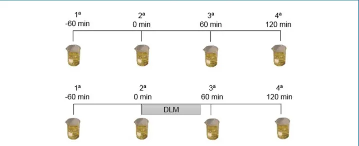 Figure 1 - Urine collection schedule on day without therapeutic intervention (Control) and on day with manual lymphatic drainage (MLD).