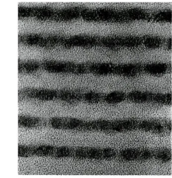 Figura 2.3.: Multicamada descontínua (Co(2nm)/Si02(3,5nm)) 2 o- Imagem por  TEM (Transmission Electron Microscopy): Página de Internet do  Commissariat à l'Energie Atomique - Département de Recherche  Fon-damentale sur la Matière Condensée