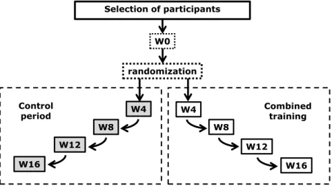 Figure 2. Experimental design. W: weeks of assessments; 0, 4, 8, 12 and 16 weeks along control  and combined training period.