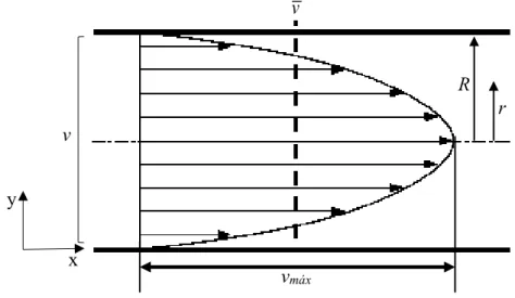 Figura  2.1  –  Perfil  da  velocidade  do  escoamento totalmente desenvolvido num tubo  circular