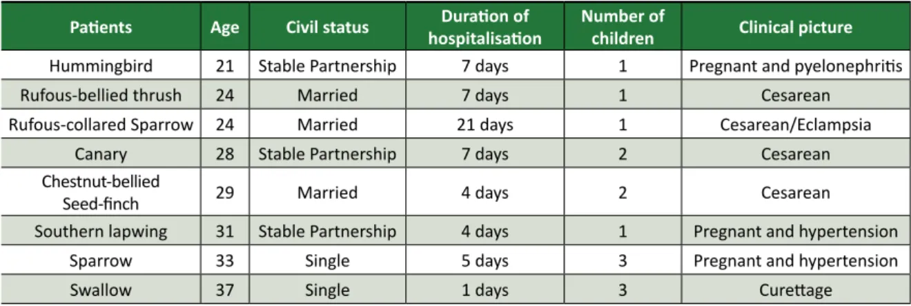 Table 1. Profile of professionals interviewed