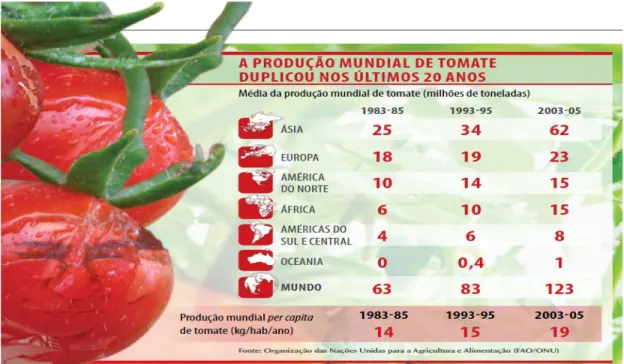 Figura  1  -  Principais  produtores  de  tomate  de  2003  a  2005  (milhões  de  ton.)  (CARVALHO;  PAGLIUCA,  2007)