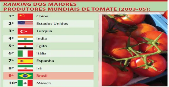 Figura 2- Principais produtores de tomate de 2003 a 2005 (milhões de ton.) (CARVALHO; PAGLIUCA, 2007).