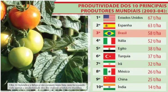 Figura 3 – Os 10 maiores países em produtividade de tomate (CARVALHO; PAGLIUCA, 2007)