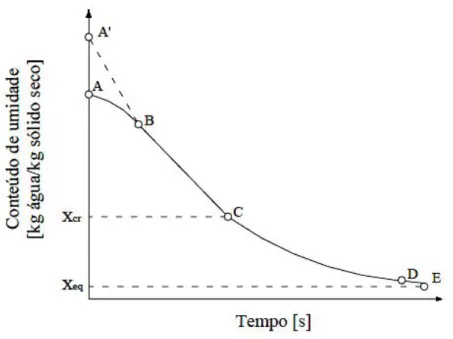 Figura 5 – Variação da umidade com o tempo que representa a curva de secagem (SFREDO, 2006)