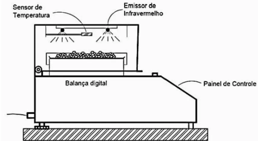 Figura 3.1 -  Imagens dos materiais utilizados no presente estudo (A) resíduo de acerola  (B) grãos de soja