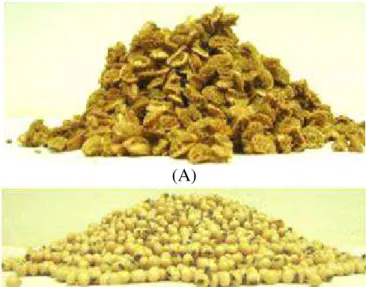 Figura 3.8 - Avaliação qualitativa do ângulo de repouso estático (A) do resíduo de acerola e  (B) da soja