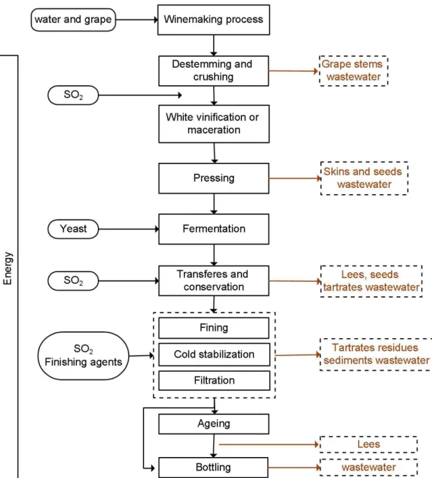 Figure 1.7 - Winemaking process and mass balance (from Lofrano et al. [38] ). 