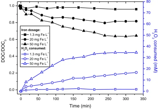 Figure 2.1 - Fenton reagent experiments performed with 1.3, 20 and 50 mg FeL -1 . 