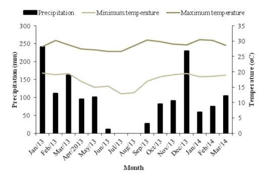 Figura 1 - Médias mensais de temperaturas mínima e máxima diárias e precipitação pluvial  durante janeiro  de 2013 a março de 2014 